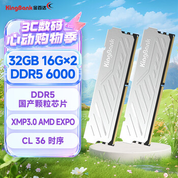 金百达（KINGBANK）32GB(16GBX2)套装 DDR5 6000 台式机内存条 国产颗粒 银爵 C36 Deepseek硬件