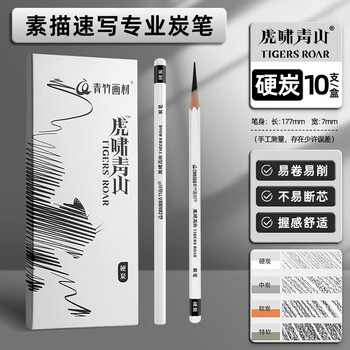 空色炭笔素描铅笔硬炭美术生专用笔黑硬炭笔速写绘画工具初学者学生套装碳素画笔10支/盒美术写生