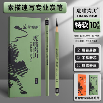 空色炭笔素描铅笔特软炭美术生专用笔黑硬炭笔速写绘画工具初学者学生套装碳素画笔10支/盒美术写生