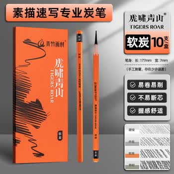 空色炭笔素描铅笔软炭美术生专用笔黑硬炭笔速写绘画工具初学者学生套装碳素画笔10支/盒美术写生