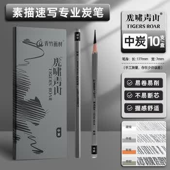 空色炭笔素描铅笔中炭美术生专用笔黑硬炭笔速写绘画工具初学者学生套装碳素画笔10支/盒美术写生
