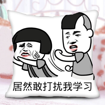 动漫二次元搞怪装逼搞笑学习表情包抱枕靠垫礼物 居然敢打扰我学习