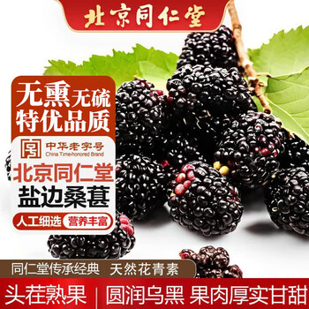 同仁堂桑葚干免洗无沙黑桑椹果干即食桑葚颗粒泡水特级桑椹子