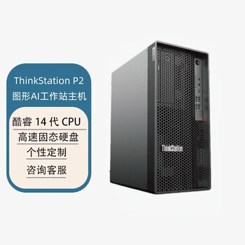 联想ThinkStation P2商用台式图形渲染设计图形工作站 定制（I9-14900K 64G 1T SSD RTX5060Ti-8G）