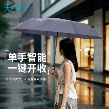 天堂伞 全自动雨伞三折 10骨加固一键开收易甩干简约商务自动伞 兰灰