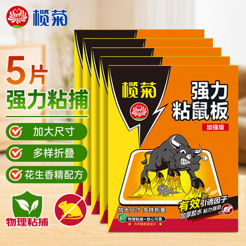 榄菊超强力粘鼠板5片老鼠贴抓老鼠捕鼠胶贴 加厚加黏