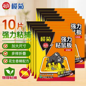 榄菊老鼠贴10片超强力粘鼠板捕鼠贴抓老鼠胶 加大加强