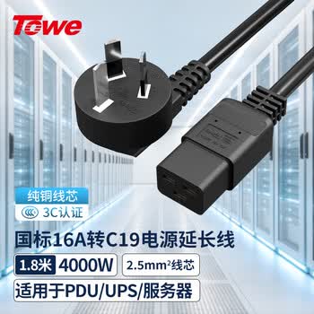 TOWE同为16a大功率电源线电脑/服务器连接线国标16a转c19电源线三芯纯铜芯2.5平1.8米