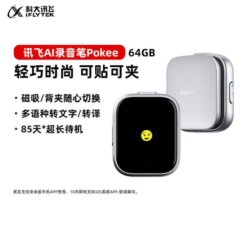 科大讯飞（iFLYTEK）AI录音笔 录音转文字同声转译会议纪要专业录音取证设备小型录音神器超长续航录音机Pokee 64g银色