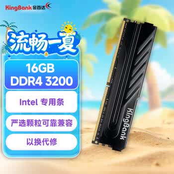 金百达（KINGBANK）16GB DDR4 3200 台式机内存条  intel专用条 黑爵