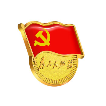 标准款党徽胸章 20个装 标准款大磁扣党员徽章 为人民服务磁铁扣式 锌