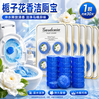 平安大通 【栀子花】洁厕宝蓝泡泡抑菌祛味厕所马桶自动清洁剂洁厕灵1200g