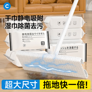 初舍（CHUSHE）一次性干湿纸巾4包拖布铝合金平板拖把静电除尘免手洗拖把套装