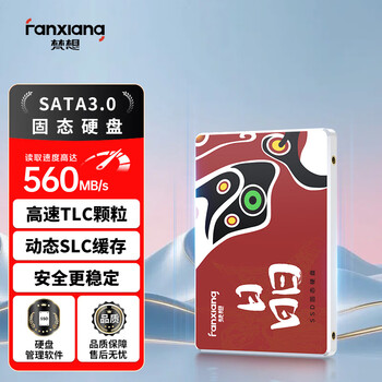 梵想（FANXIANG）2TB SSD固态硬盘 SATA3.0接口TLC颗粒 读速高达560MB/s 台式机笔记本电脑AI PC存储配件S100PRO