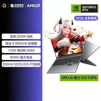 机械革命 蛟龙16Pro 16英寸商务办公笔记本电脑 定制(R9-9955HX 64G 2T RTX5060 300Hz)灰