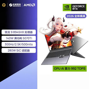 机械革命 蛟龙16Pro 16英寸商务办公笔记本电脑 定制(R9-8945HX 64G 2T RTX5070Ti 300HZ )灰