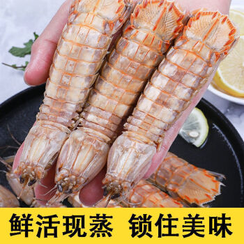 皮皮虾超肥新鲜鲜活熟冻超大虾爬子虾姑海鲜特大公虾精挑细选个大满肉