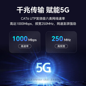琅沃六类千兆网线POE监控双绞线纯无氧铜非屏蔽家装CAT6类白色网线 【散装整根】白色散线1米