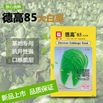 大白菜种子德高85白菜种子耐储运高产抗性好抗热抱头白菜籽德高8510克