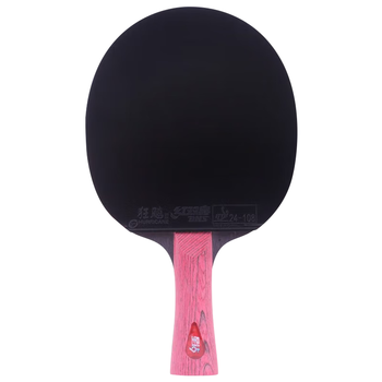红双喜DHS狂飚专业星钻乒乓球拍全能型横拍狂飙D01-L绯红附拍套乒乓球
