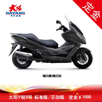 定金大阳v锐dy300ta踏板车300cc水冷电喷摩托车标准版哑闪黑哑闪灰
