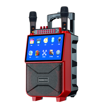 华宝1033蓝牙版双话筒广场舞音响显示屏户外手提k歌音箱家用一体机家用卡拉ok唱歌广场舞