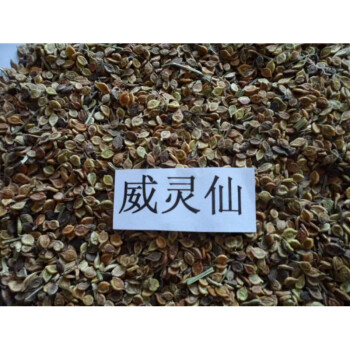 野生威灵仙种子铁脚威灵仙种子铁角灵仙铁耙头铁脚铁线莲种籽20粒肥料