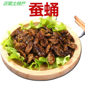 山东蚕蛹鲜活冷冻新鲜金丝蛹高蛋白茧蛹山东土特产桑蚕蛹蝉蛹蝉蛹半熟