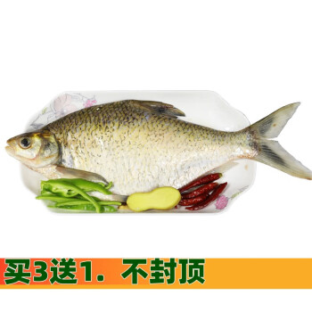 春光岛新鲜鳊鱼武昌鱼鲜活现杀淡水鱼大菜园烧烤食材400500g3条