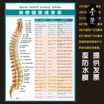 《脊椎健康速查表》人体脊柱疾病示意图中医养生医学健康挂图海报 32