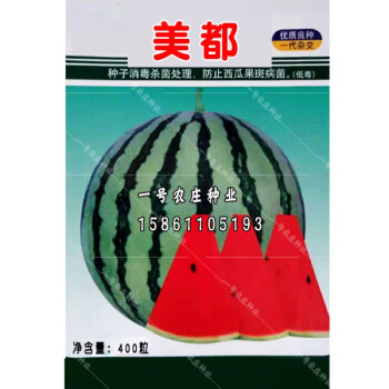 耐裂美都西瓜种子超甜大果高产特大正宗8424麒麟瓜无籽甜王种籽美都