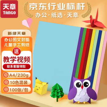 天章 （TANGO）【送莲花灯折纸教程】A4纸10色硬卡纸加厚 彩色封面手工折剪纸DIY绘画画纸 十色混装230g 100张/包