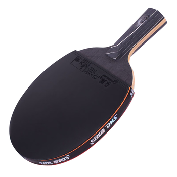红双喜DHS狂飚专业星钻乒乓球拍全能型直拍狂飙D02-S黑耀内附拍套乒乓球