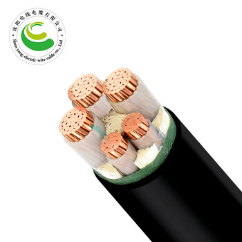 沈阳电线电缆有限公司 铜芯电缆 ZR-YJV-0.6/1KV 3×50+2×25mm²/米