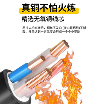 珠江电缆 ZC-YJV国标3+2铜芯3*50+2*25平方户外充电桩阻燃护套电缆 1米 定制品