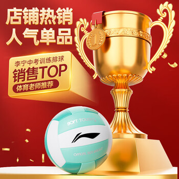 李宁（LI-NING）排球【中考训练】比赛专用中小学体考成人儿童男女硬排软排球5号 