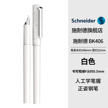 施耐德（Schneider）钢笔学生成人练字笔男女三四年级签字墨水笔F尖 开学必备用品BK406-白色161812H