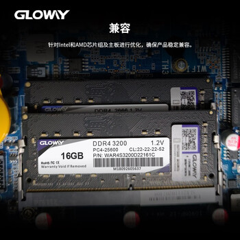 光威(Gloway)16GB DDR4 3200 笔记本内存条 战将 普条 精选颗粒 CL22 光威(Gloway)16GB DDR4 3200 笔记本内存条 战将 普条 精选颗粒 CL22