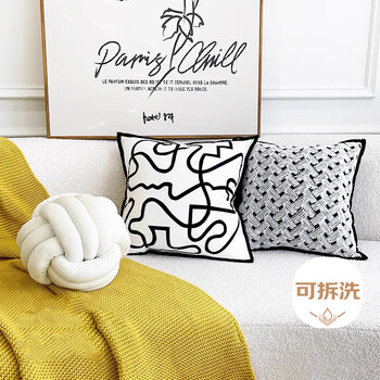 艾薇抱枕套 沙发抱枕靠垫套床头靠枕套45*45cm艺术线条