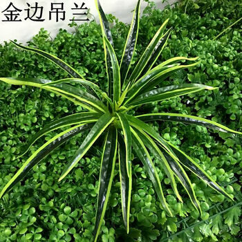 绿化立体草坪墙背景植物衣柜墙绿植墙人工假仿真草皮阳台门头装饰三门简单草坪图片