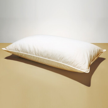 大朴（DAPU）A类枕头 舒颈健康纤维枕 纯棉面料 舒适型 750g/个 48*74cm