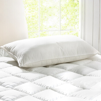 大朴（DAPU）A类枕头 舒颈健康纤维枕 纯棉面料 舒适型 750g/个 48*74cm