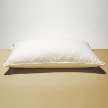 大朴（DAPU）A类枕头 舒颈健康纤维枕 纯棉面料 舒适型 750g/个 48*74cm