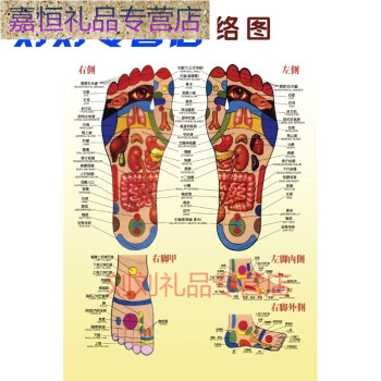 足部反射区大挂图足脚底按摩保健足疗足浴火罐人体经络穴位图海报 80