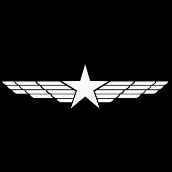 白色五角星 15cm一对装