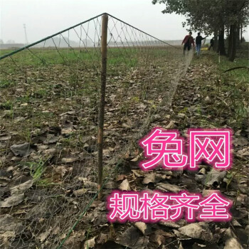 颂思缘 尼龙线野鸡网轮胎线野鸡网山鸡网野山鸡网水鸡网野兔网兔子网