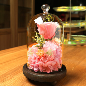 星扉玻璃罩永生花玫瑰花礼盒鲜花速递 创意生日礼品 520情人节礼物送