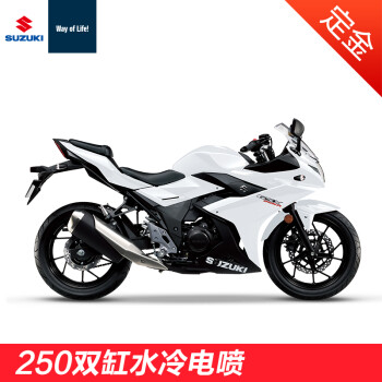 [定金]豪爵铃木gsx250r 双缸水冷电喷250cc超跑摩托车 冰川白 整车