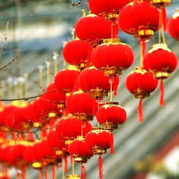 俊艺 植绒小灯笼 婚庆喜庆红灯笼 传统节日婚房布置小红灯笼 串灯笼喜庆挂件小灯笼 植绒灯笼30#25CM-1个装