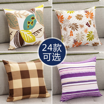
                                        草木之语 抱枕靠垫枕办公室午睡枕套芯护腰枕靠坐垫 青枝 40cm*40cm                